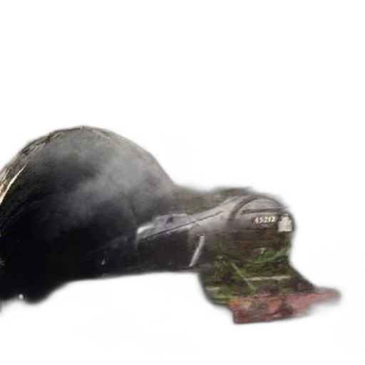 hat, shoes, animal, weapon, photorealistic, 3d render, concept art, steam transparent PNG cut-out