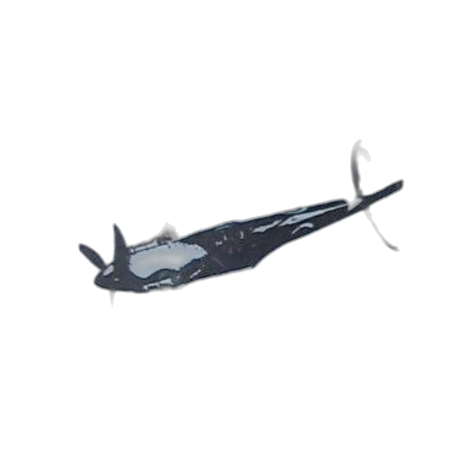 weapon, staff, sword, umbrella, 3d render, concept art, photorealistic, cover transparent PNG cut-out