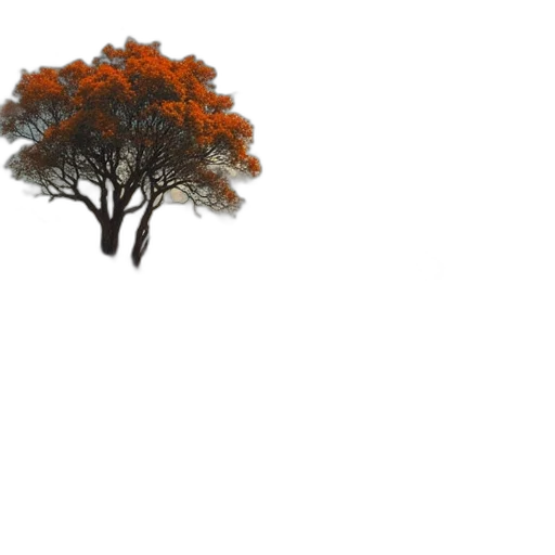 tree, crown, animal, hat transparent PNG cut-out