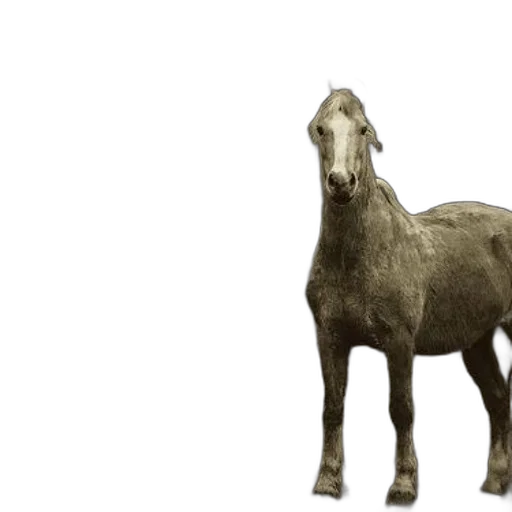 animal, creature, hair, dragon, 3d render, photorealistic, concept art, horse transparent PNG cut-out