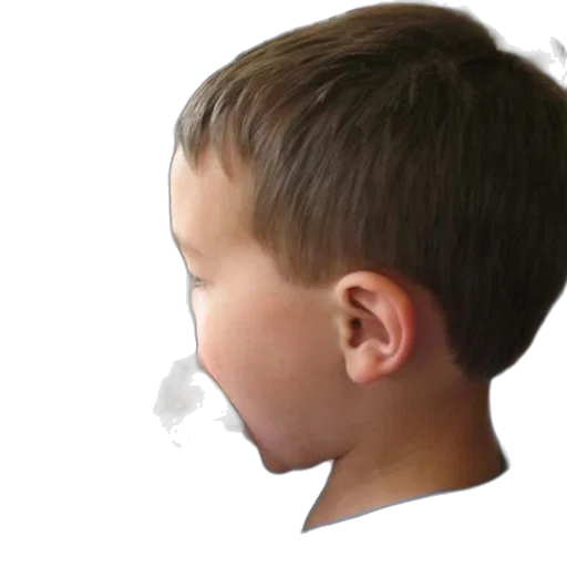 face, mask, hair, crown, photorealistic, 3d render, concept art, young transparent PNG cut-out
