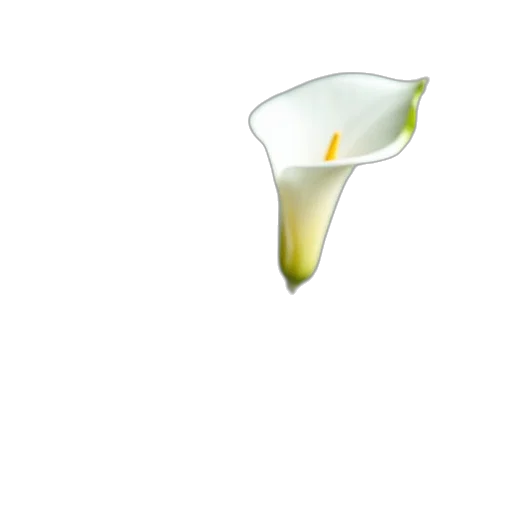 flower, staff, food, crown, 3d render, photorealistic, pixel art, concept art transparent PNG cut-out