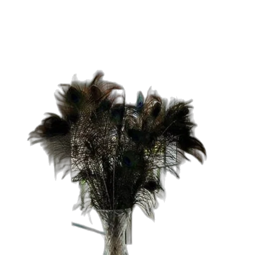 flower, crown, hair, mask, 3d render, photorealistic, concept art, dark transparent PNG cut-out