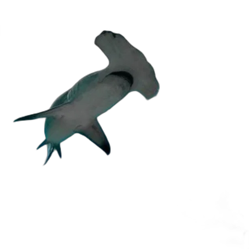 animal, dragon, creature, staff, 3d render, concept art, photorealistic, vaporwave transparent PNG cut-out