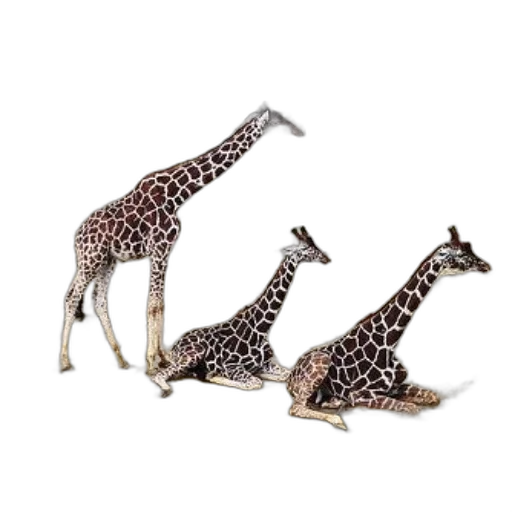 animal, jewelry, shoes, furniture, concept art, 3d render, photorealistic, fantasy art transparent PNG cut-out