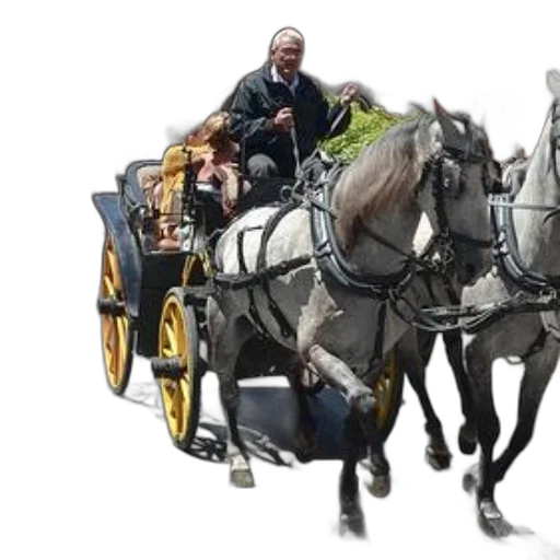 car, staff, animal, photorealistic, concept art, horse-drawn, carriage, passengers transparent PNG cut-out