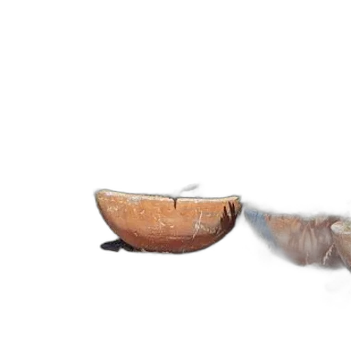 shoes, food, jewelry, hat, 3d render, photorealistic, concept art, underwater transparent PNG cut-out