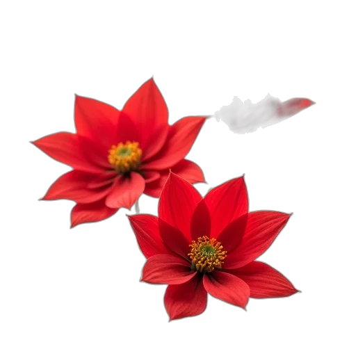 flower, crown, jewelry, staff, 3d render, photorealistic, red, poinsetti transparent PNG cut-out