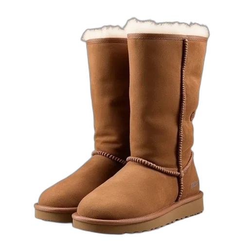 shoes, 3d render, ugg, women transparent PNG cut-out