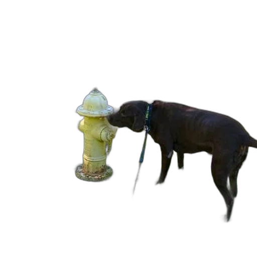 bottle, animal, staff, creature, 3d render, photorealistic, concept art, neon lights transparent PNG cut-out