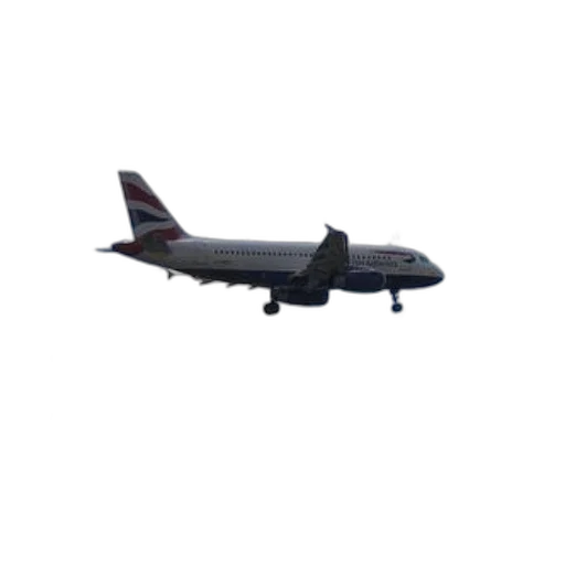 animal, staff, weapon, 3d render, photorealistic, british, airways, airplane transparent PNG cut-out