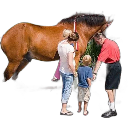 animal, creature, weapon, staff, photorealistic, concept art, family, admires transparent PNG cut-out