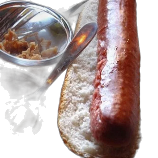 food, weapon, animal, photorealistic, 3d render, hot, dog, bun transparent PNG cut-out
