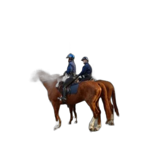 staff, jacket, animal, hat, concept art, pixel art, 3d render, photorealistic transparent PNG cut-out