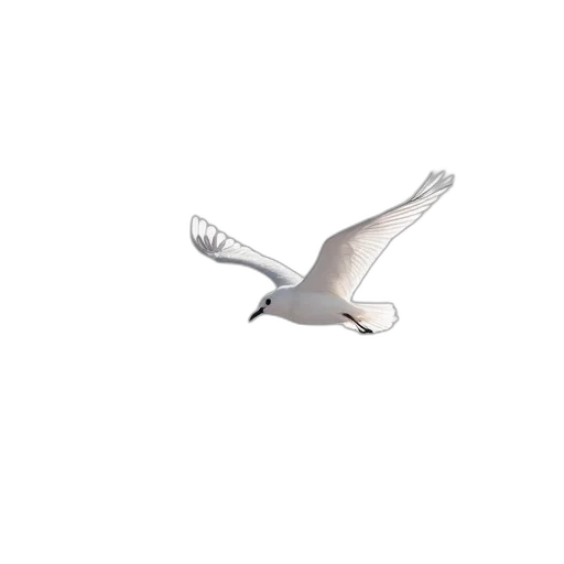 animal, staff, creature, shoes, 3d render, photorealistic, concept art, pixel art transparent PNG cut-out