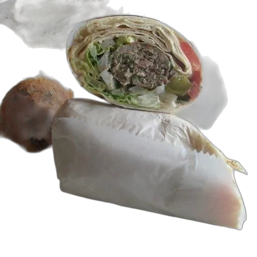 food, creature, animal, jacket, photorealistic, 3d render, concept art, plate transparent PNG cut-out