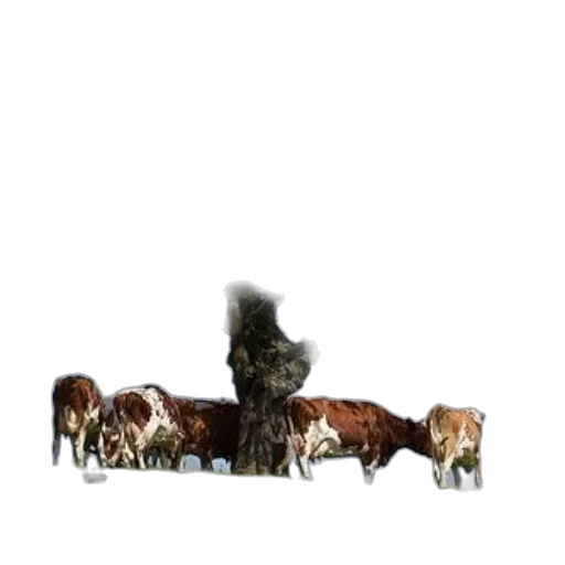 animal, furniture, crown, staff, concept art, 3d render, pixel art, photorealistic transparent PNG cut-out
