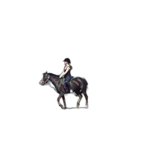 staff, animal, hat, crown, pixel art, concept art, 3d render, photorealistic transparent PNG cut-out