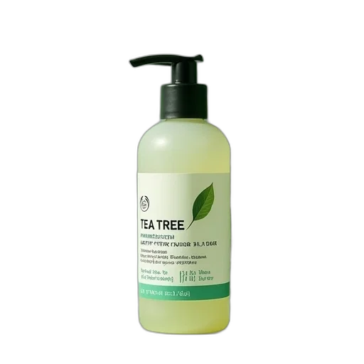 tree, body, shop, tea transparent PNG cut-out