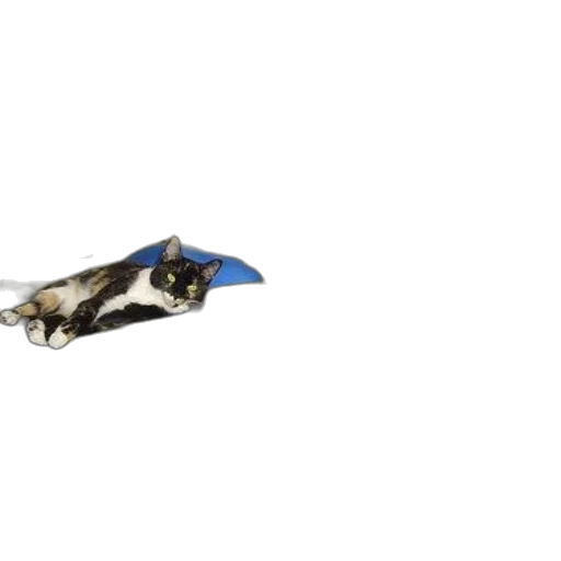 animal, weapon, dragon, jewelry, 3d render, concept art, photorealistic, two transparent PNG cut-out