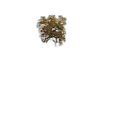 jewelry, crown, furniture, hair, 3d render, earth tones, serene, landscape transparent PNG cut-out