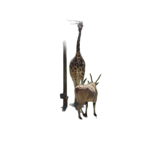 staff, animal, furniture, weapon, 3d render, concept art, two, giraffes transparent PNG cut-out