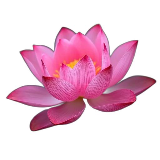 flower, crown, jewelry, photorealistic, 3d render, oil painting, vibrant, colored transparent PNG cut-out