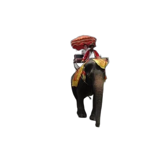 animal, hat, staff, creature, 3d render, concept art, photorealistic, person transparent PNG cut-out