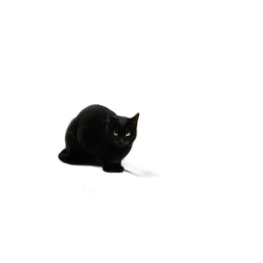 animal, staff, creature, hat, photorealistic, 3d render, pixel art, dark transparent PNG cut-out
