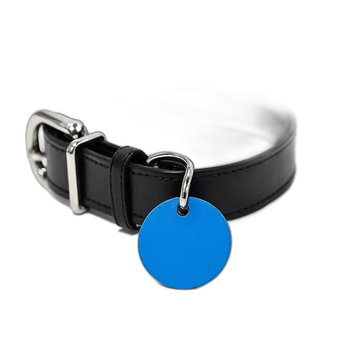 jewelry, staff, weapon, black, dog, collar, silver, buckle transparent PNG cut-out