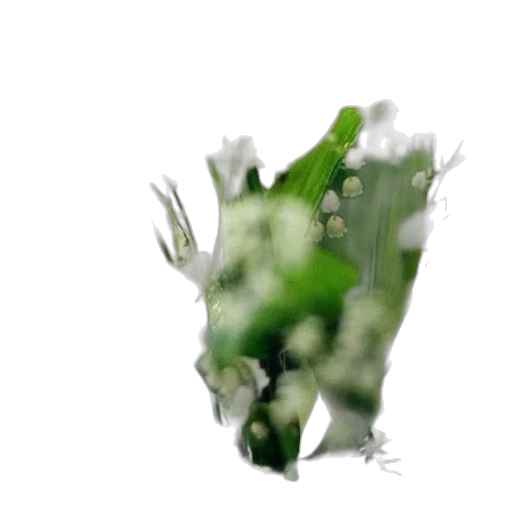 flower, crown, dragon, food, 3d render, photorealistic, concept art, pixel art transparent PNG cut-out