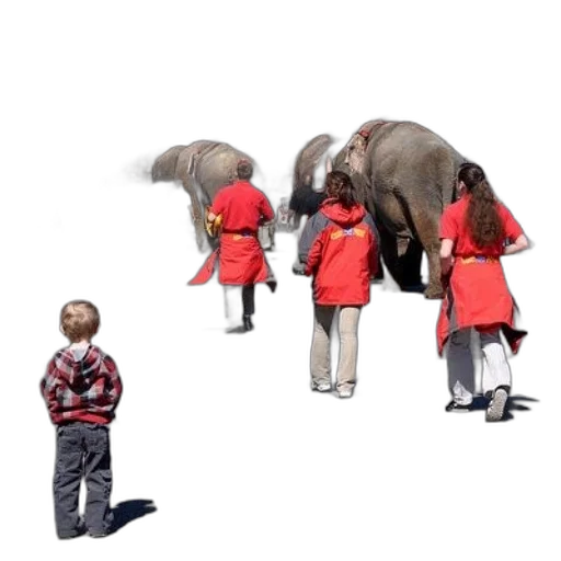 animal, staff, concept art, group, people, red, jackets, walking transparent PNG cut-out