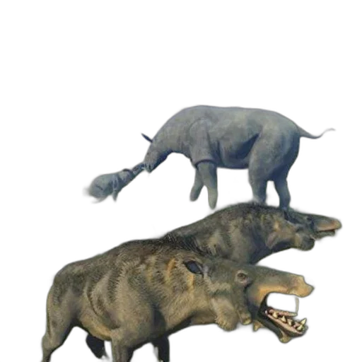 animal, creature, dragon, concept art, 3d render, photorealistic, cover, after transparent PNG cut-out