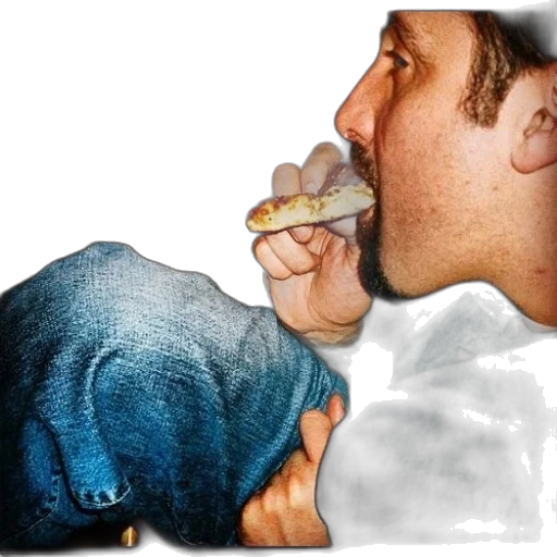 food, jacket, photorealistic, man, eating, slice, pizza, dog transparent PNG cut-out