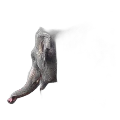 animal, creature, shoes, umbrella, concept art, photorealistic, 3d render, fantasy art transparent PNG cut-out