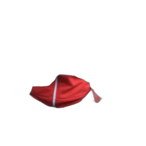 hat, umbrella, mask, shoes, 3d render, photorealistic, concept art, pixel art transparent PNG cut-out