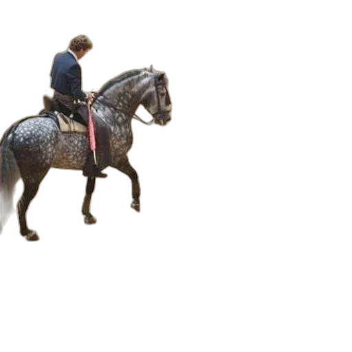 animal, staff, sword, jacket, photorealistic, 3d render, concept art, pixel art transparent PNG cut-out