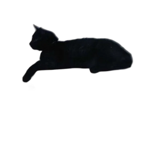 animal, staff, creature, hat, photorealistic, 3d render, pixel art, concept art transparent PNG cut-out