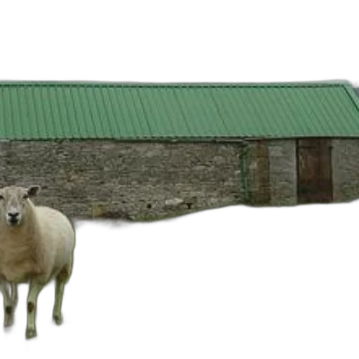 animal, building, creature, furniture, 3d render, photorealistic, white, sheep transparent PNG cut-out