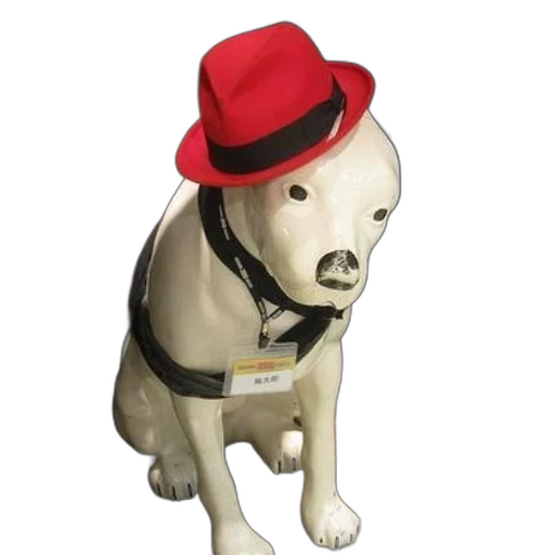 hat, staff, animal, robot, 3d render, photorealistic, cartoon, concept art transparent PNG cut-out