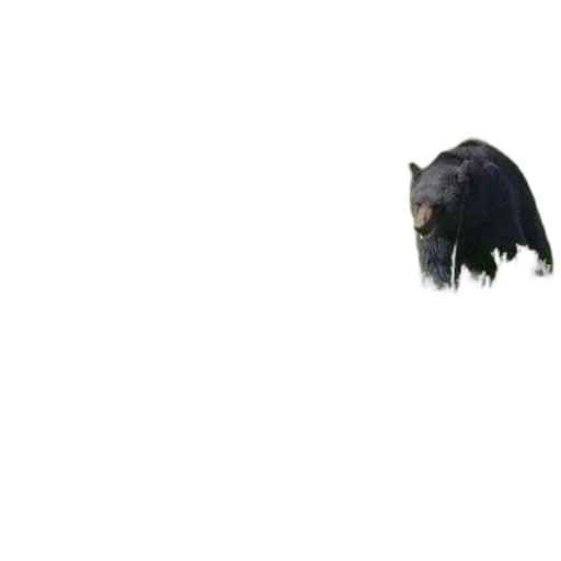 animal, creature, hair, face, pixel art, 3d render, photorealistic, concept art transparent PNG cut-out