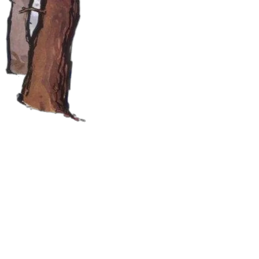 staff, tree, face, jacket, concept art, pixel art, watercolor, comic book art transparent PNG cut-out