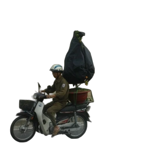 animal, weapon, jacket, creature, concept art, 3d render, photorealistic, pixel art transparent PNG cut-out
