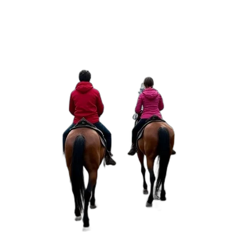 jacket, person, red, woman, pink, riding, horses, dirt transparent PNG cut-out