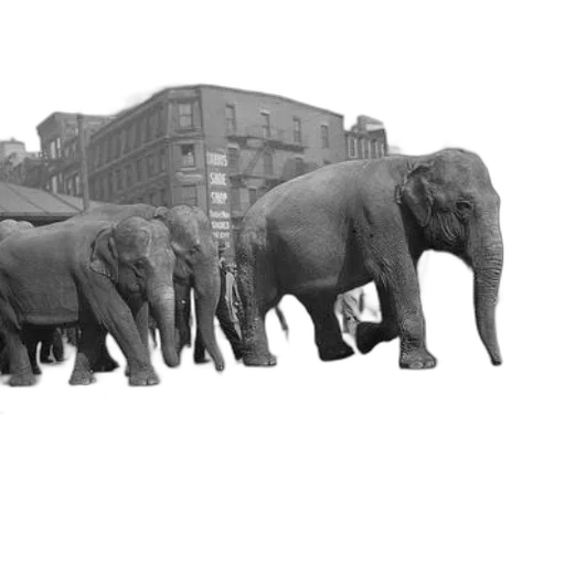 animal, car, concept art, photorealistic, 3d render, pencil sketch, city street, three transparent PNG cut-out