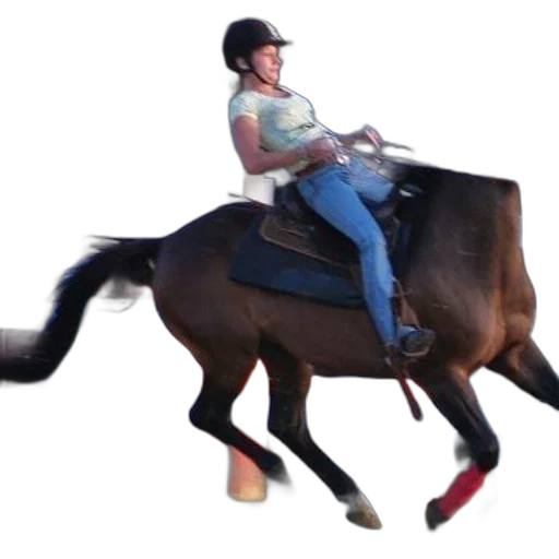 animal, staff, photorealistic, woman, riding, horse, competition transparent PNG cut-out