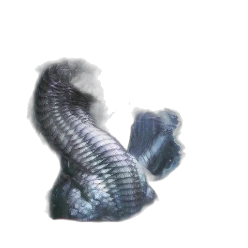 hair, creature, animal, dragon, 3d render, photorealistic, concept art, pixel art transparent PNG cut-out