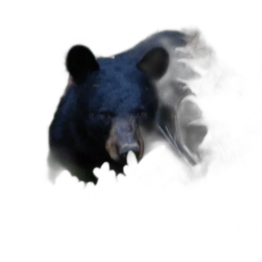 mask, animal, creature, face transparent PNG cut-out