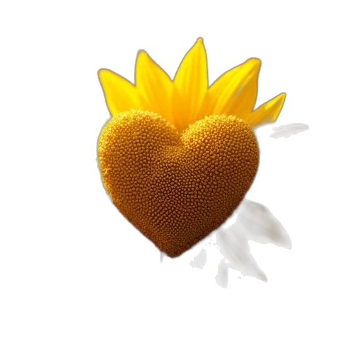 crown, flower, food, jewelry transparent PNG cut-out