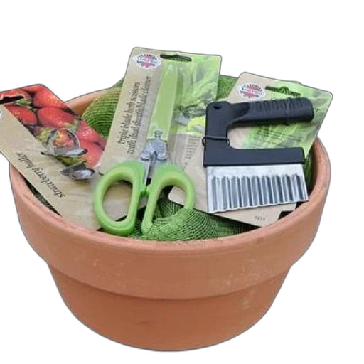 crown, terracotta, pot, filled, gardening, tools, supplies, including transparent PNG cut-out